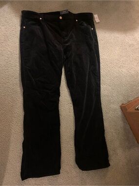 GAP Factory Baby Boot Cut Jeans